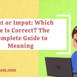 Input or Imput: Which One Is Correct? The Complete Guide to Meaning