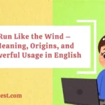 Run Like the Wind – Meaning, Origins, and Powerful Usage in English