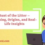 Runt of the Litter – Meaning, Origins, and Real-Life Insights