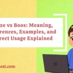Booze vs Boos: Meaning, Differences, Examples, and Correct Usage Explained