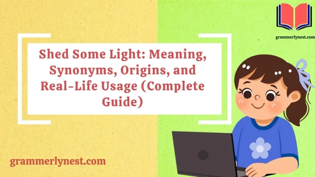 Shed Some Light: Meaning, Synonyms, Origins, and Real-Life Usage (Complete Guide)