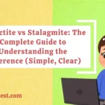 Stalactite vs Stalagmite: The Complete Guide to Understanding the Difference (Simple, Clear)