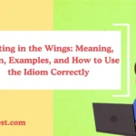 Waiting in the Wings: Meaning, Origin, Examples, and How to Use the Idiom Correctly